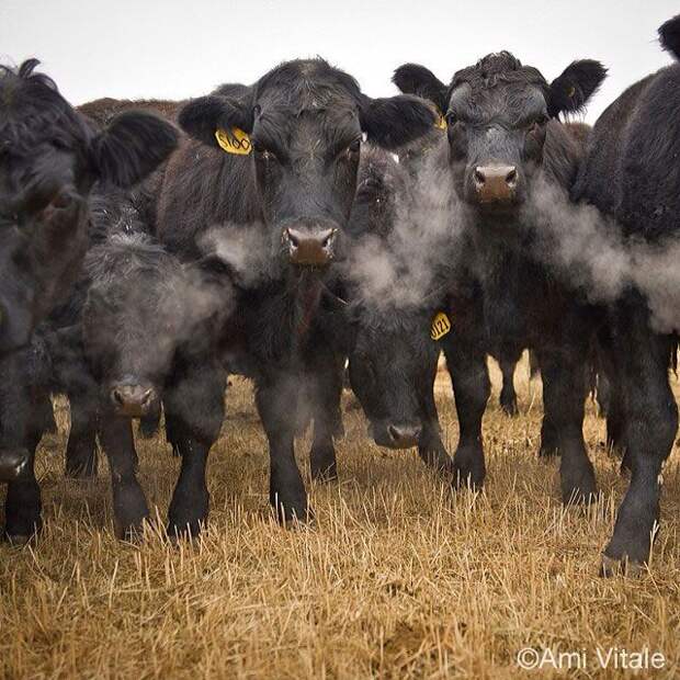 Лучшие фотографии от National Geographic