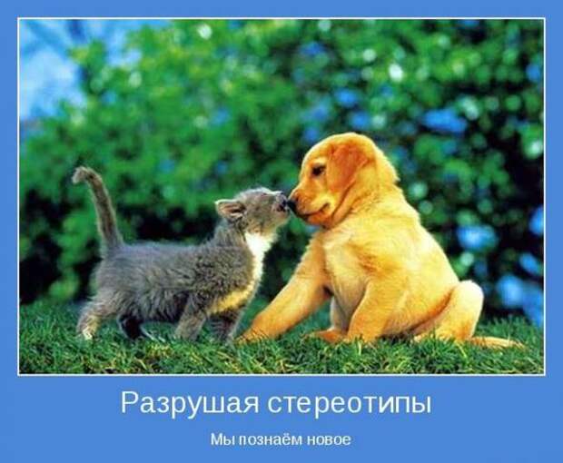 Мотиваторы