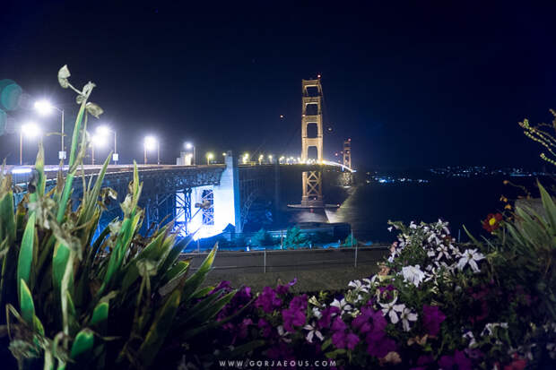 Labor-Day-Weekend-San-Francisco-Part-II-9.jpg