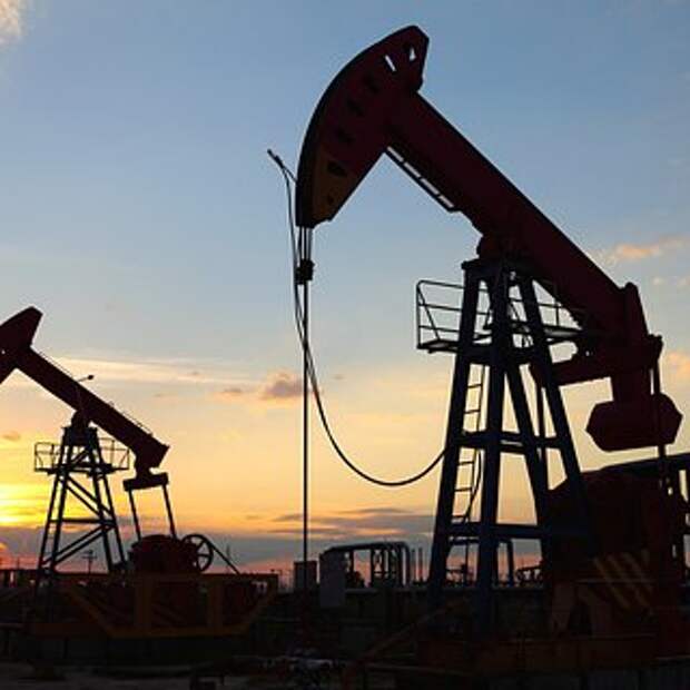 Названа выгода Индии от покупки российской нефти до потолка цен