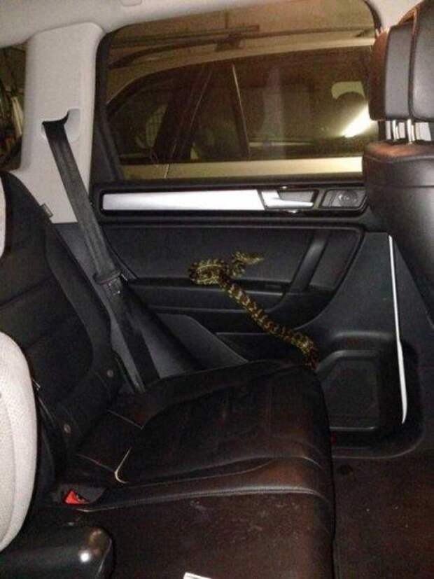 АВТОюмор