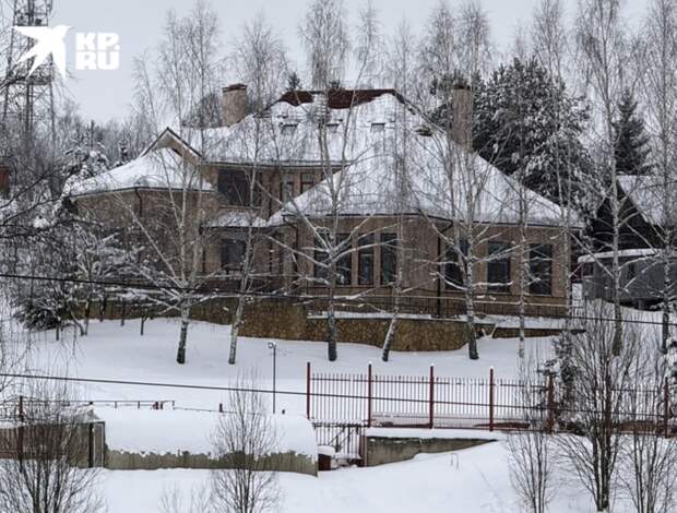 Обнародованы кадры загородного особняка, в котором будет жить Лариса Долина: фото