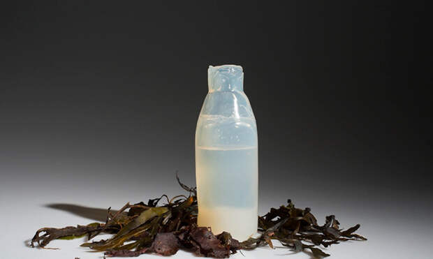 biodegradable-algae-water-bottle-ari-jonsson-2