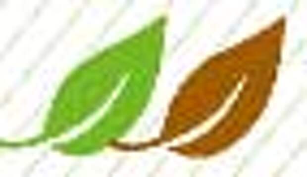 tea-leaf2.jpg tea-leaf2.jpg