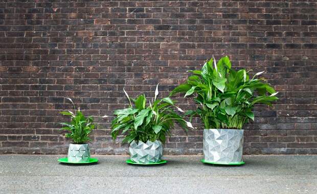 origami-pot-plant-grows-studio-ayaskan