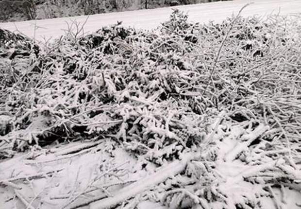 Снегопад в горах Сочи побил рекорды: на Роза Хутор за сутки намело больше 30 сантиметров снега