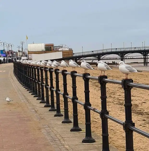 ���� � ������� ��� �������� ���������� � ���� ��������