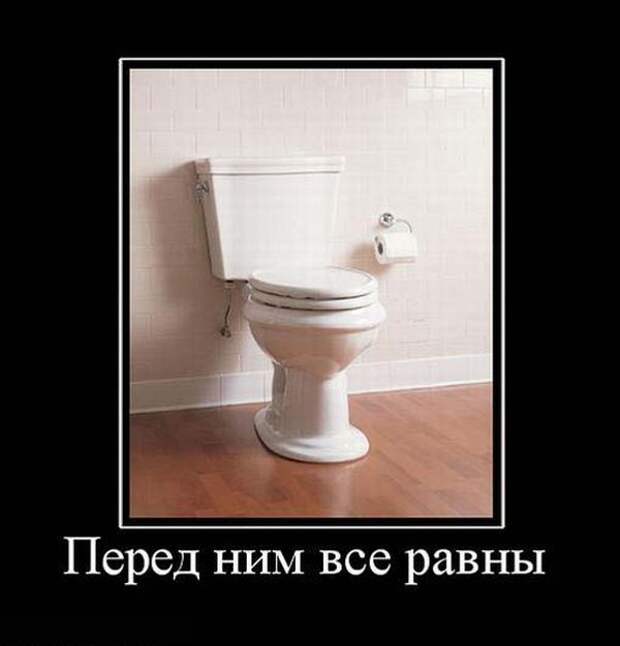 Демотиваторы (59 фото) Демотиваторы (59 фото)