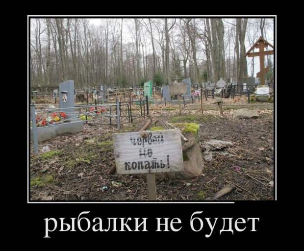 Демотиваторы №1108 (30 фото)