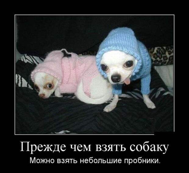 Классная демотивация Классная демотивация