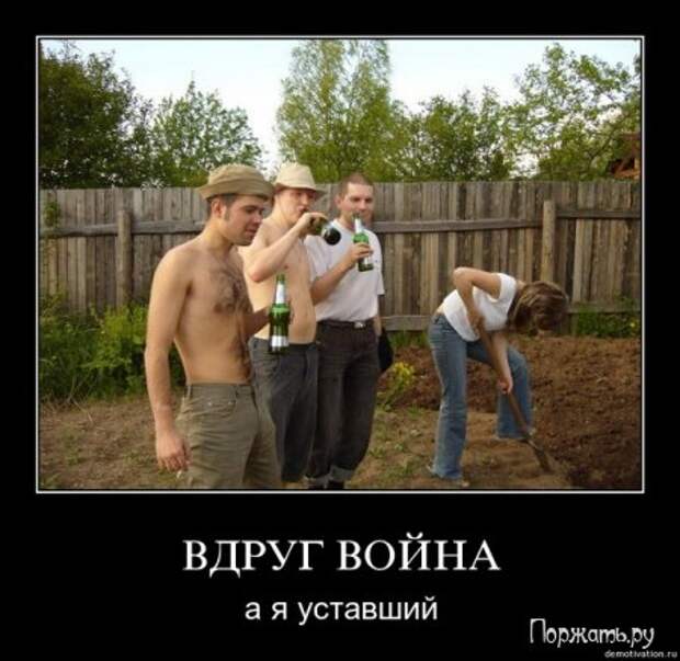 Димативаторы, новые прикольны 25 фото