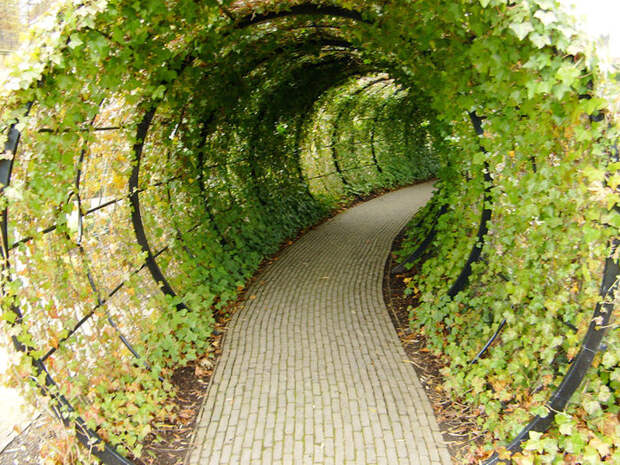 Алник: уникальный ядовитый сад. Англия, Ядовитые растения, Сад, Длиннопост