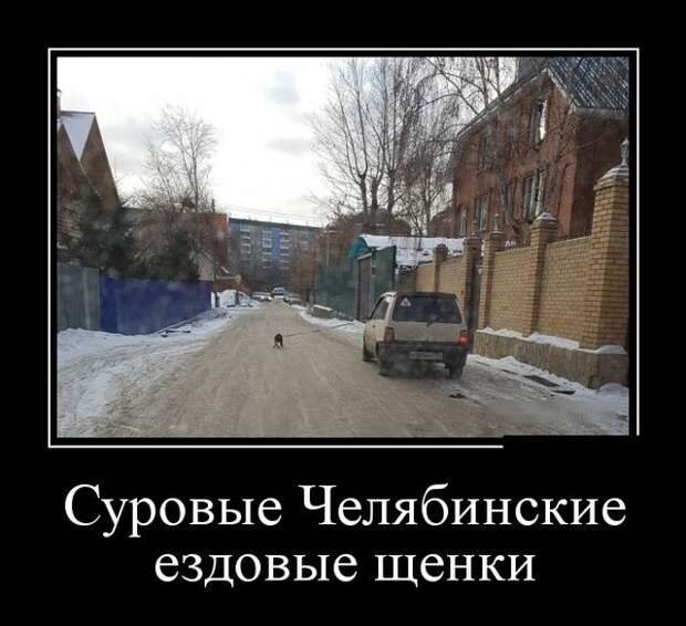 Демотиваторы (30 фото)