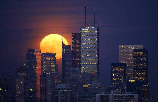 Луна в Торонто, Канада