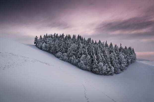 Лучшие зимние фотографии (35 фото) Лучшие зимние фотографии (35 фото)