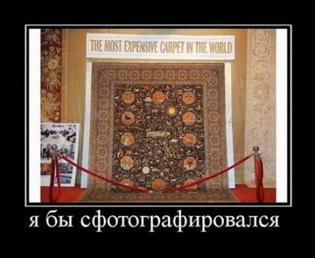Демотиваторы, юмор дня, фотки с прикольными подписями.