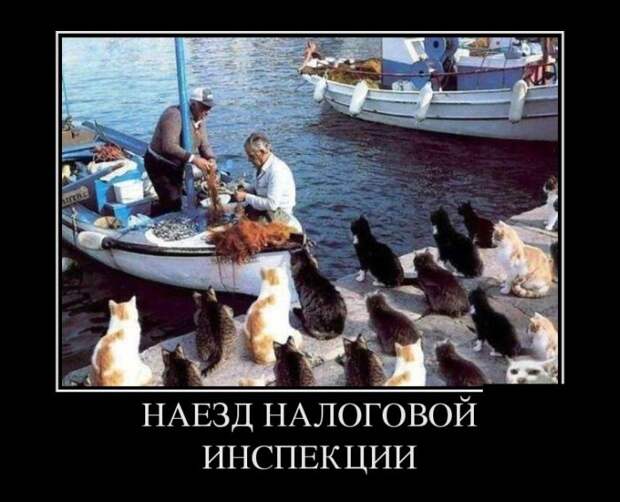 Демотиваторы демотиваторы