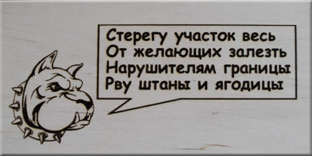 Немного поэзии Немного поэзии животные, прикол