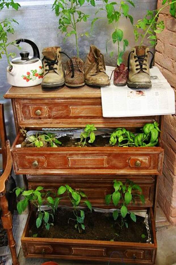 горшки для растений из предметов - комод и ботинки