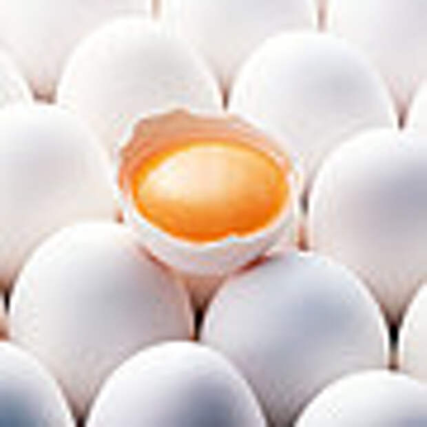 Полезный жир: 10 продуктов, которых вообще не нужно бояться