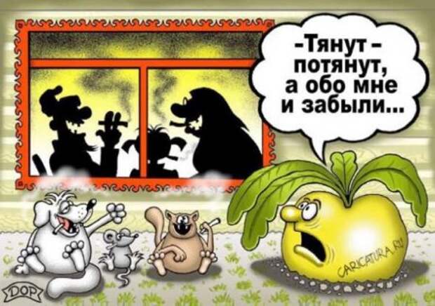 Карикатуры на любителя.