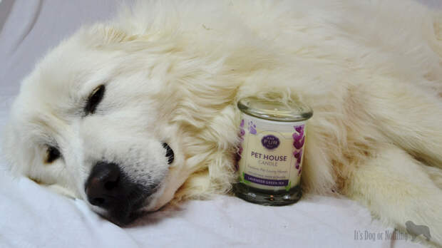Mauja agrees - soooo relaxing