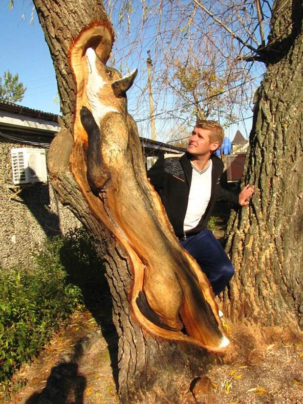 Закарпатский умелец создает чудо-скульптуры из сухих деревьев дерево, резьба