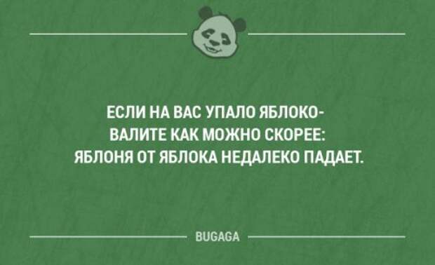 Прикольные фразы в картинках с надписями. Часть 80 (17 шт)