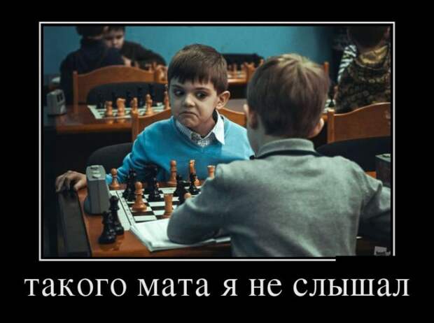 Подборка демотиваторов Подборка демотиваторов демотиваторы, юмор