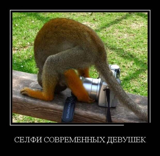 Сборник демотивационных приколов Сборник демотивационных приколов