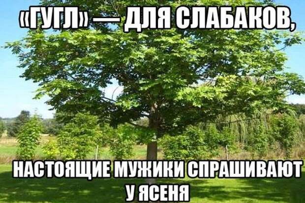 Смешные картинки с подписями  картинки, прикол, юмор