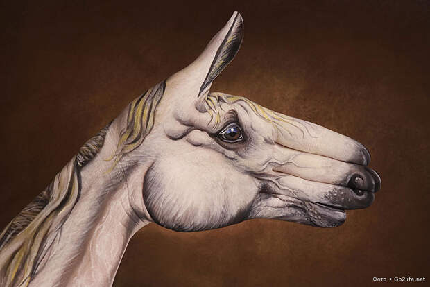 Hand Art: рисунки животных на руках