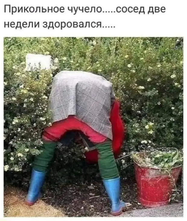 Чтобы что-то не купить, ума и опыта всегда требуется больше, чем это же купить специалист, ракеты, Петровна , молчи, целыми, днями, обезьяны, опытный, теперь, потом, говорит, Почему, запуск, приподнялась, шляпу, присутствии, Мадам, доченька, буду , Девушка