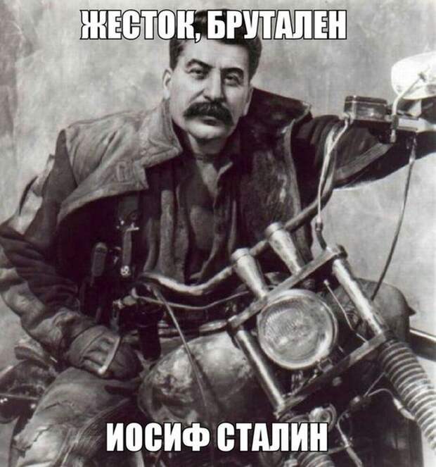 Смешные картинки с подписями катинки, прикол, юмор