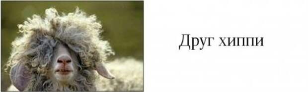 Такие друзья, есть у каждого из вас.