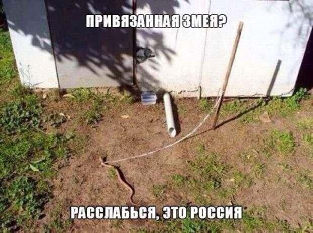 Пятничные картинки с приколами (35 шт)