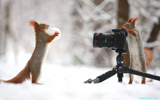Этот день в фотографиях, 18.02.2015