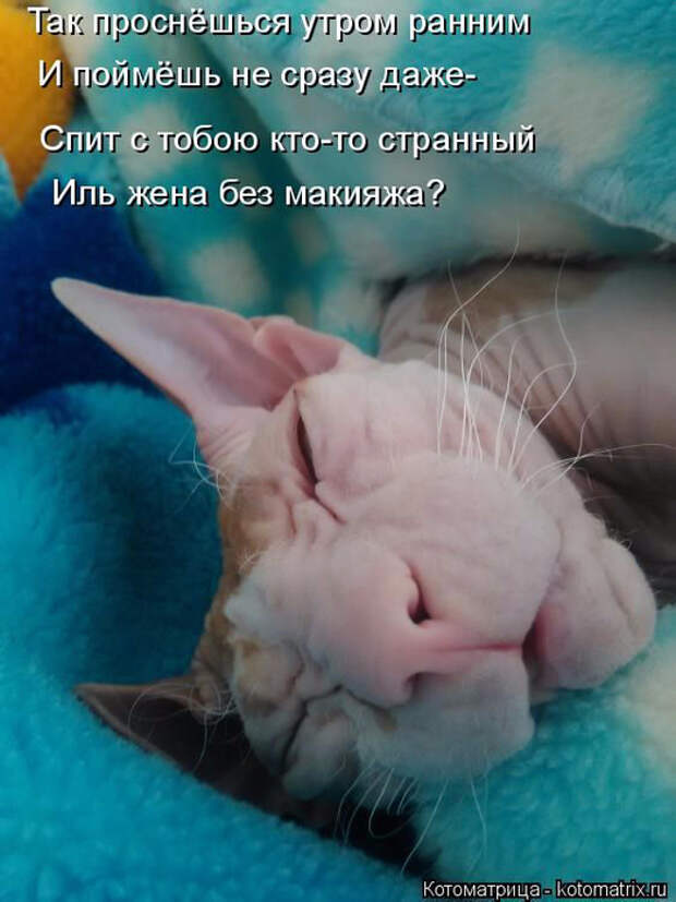 1429823325_15 (524x700, 342Kb)