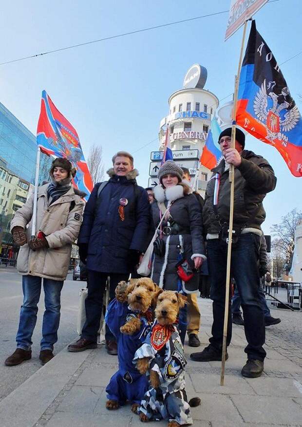 Собачки - сепаратисты вежливые люди, дрессировка, животные, конфликт, ополченцы, перемога, сепаратисты, собачки, украина, фас