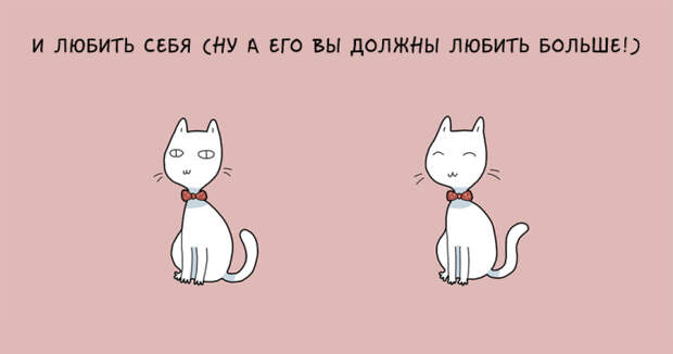 забавные причины завести кота