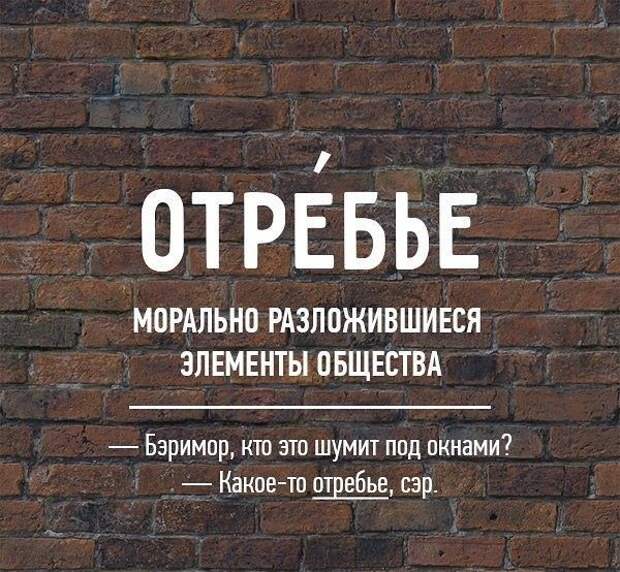 Редкие бранные слова русского языка (20 картинок)