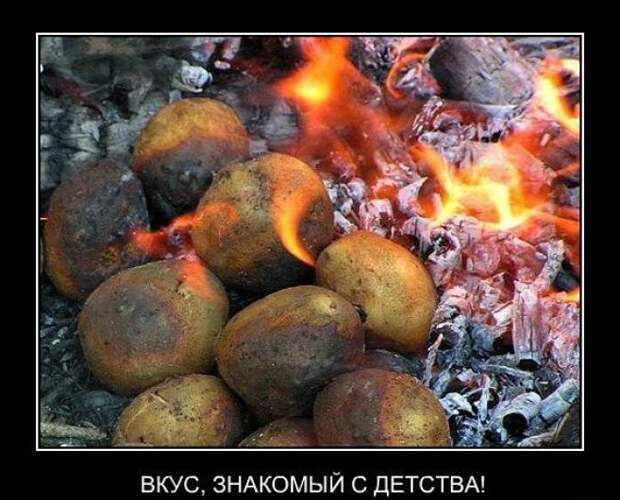 вкус знакомый с детства 