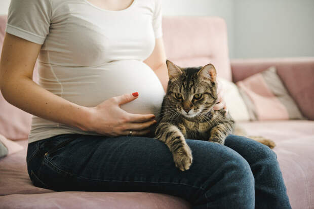Фото №2 - 12 вещей, которые раздражают твоего кота