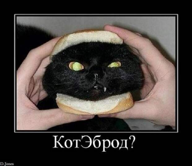 Демотиваторы по русски смешные.