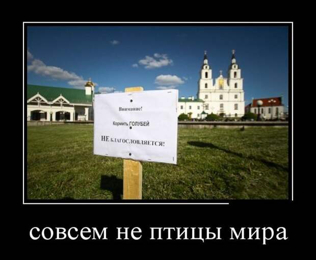 Демотиваторы (30 фото)