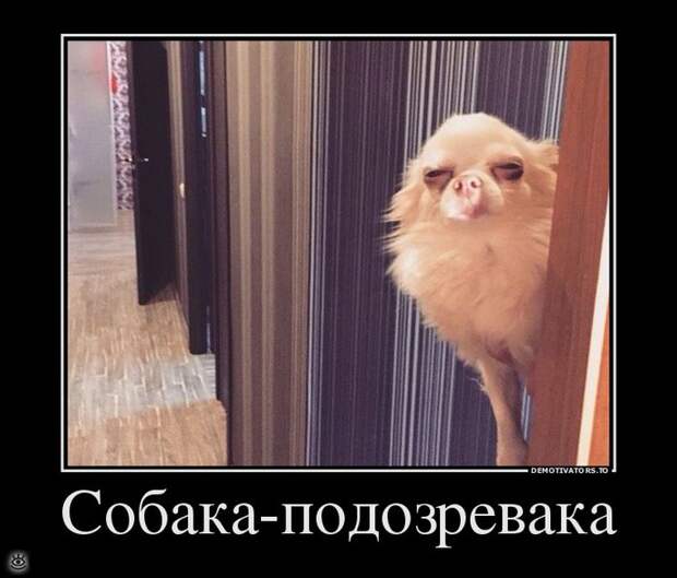 Покой нам только снится! 11