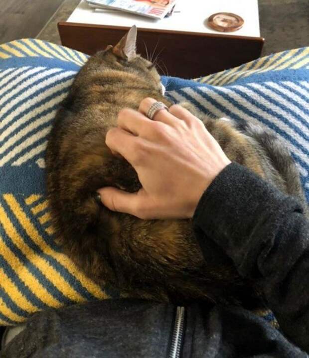 Приятные мелочи, которые смогли поднять людям настроение