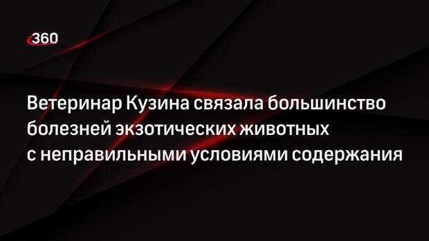 Ветеринар Кузина связала большинство болезней экзотических животных с неправильными условиями содержания