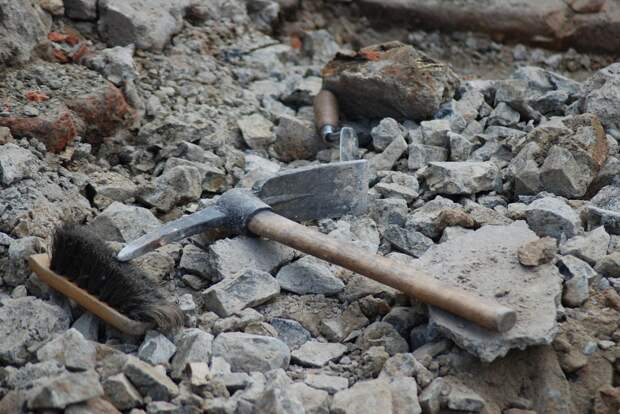 В Польше кладоискатель нашел наконечник топора, изготовленный 6 тысяч лет назад