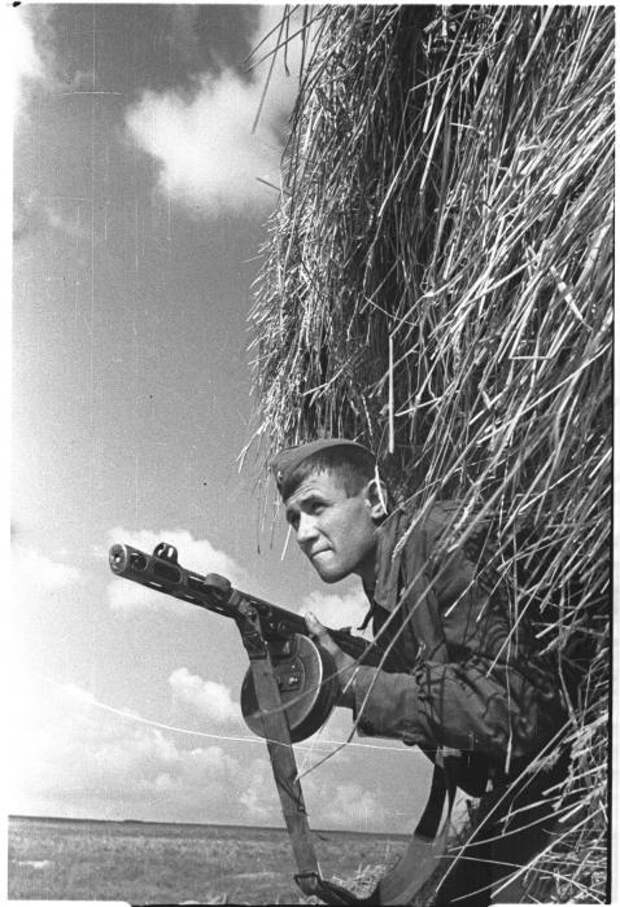 Наталья Боде: война глазами женщины